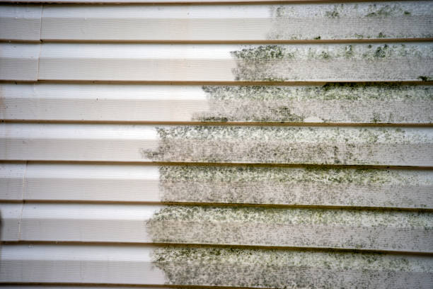Best Moving and Downsizing Cleanouts  in South Wallins, KY