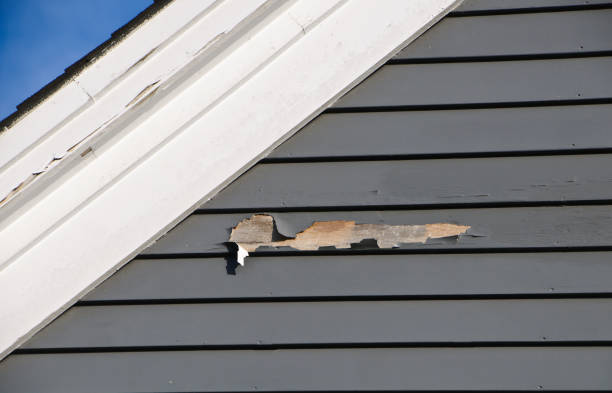 Best Attic Cleanout  in South Wallins, KY